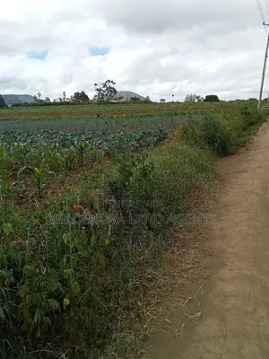 Land on Sale at Naivasha Kiabogo