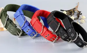 Dog Collar .