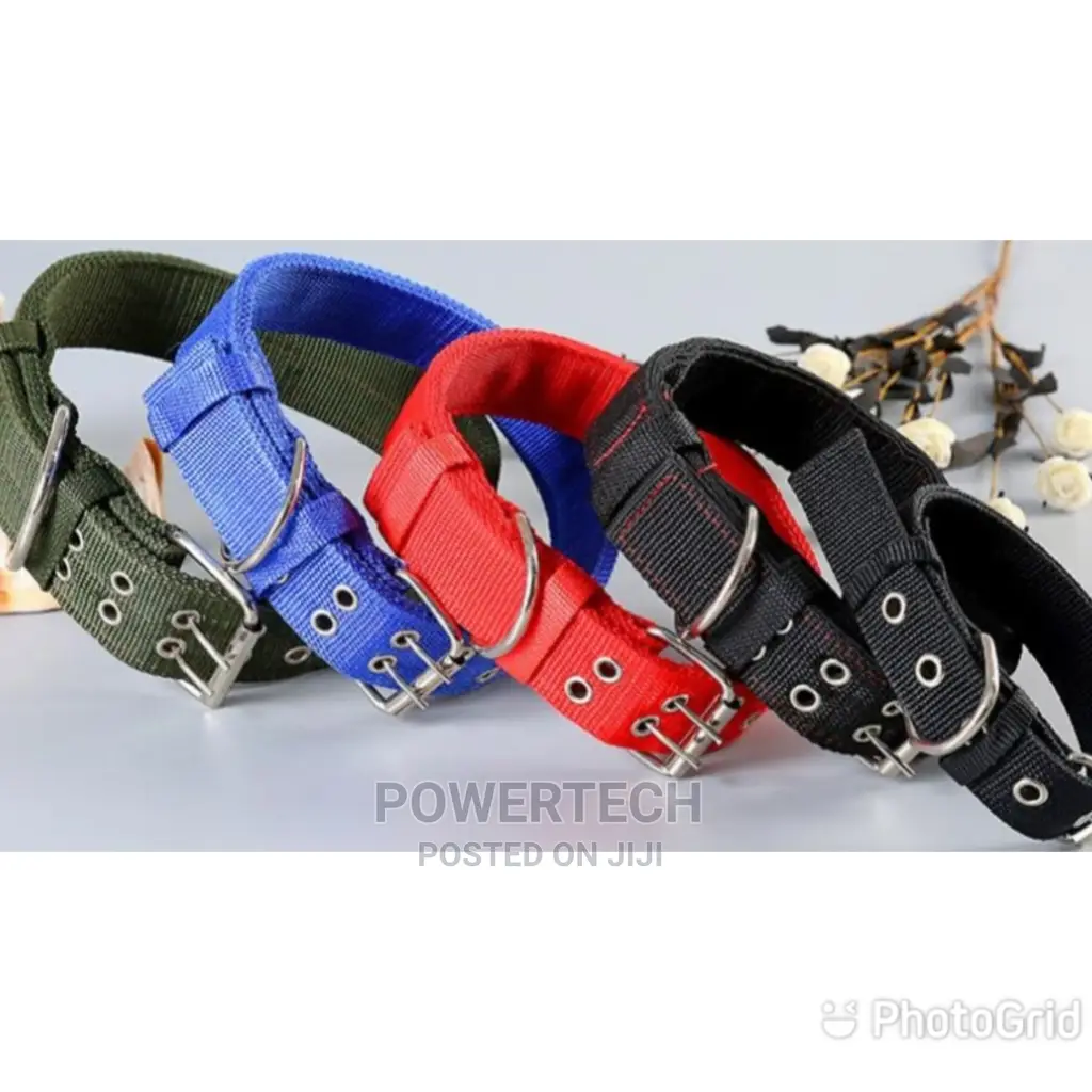 Dog Collars 