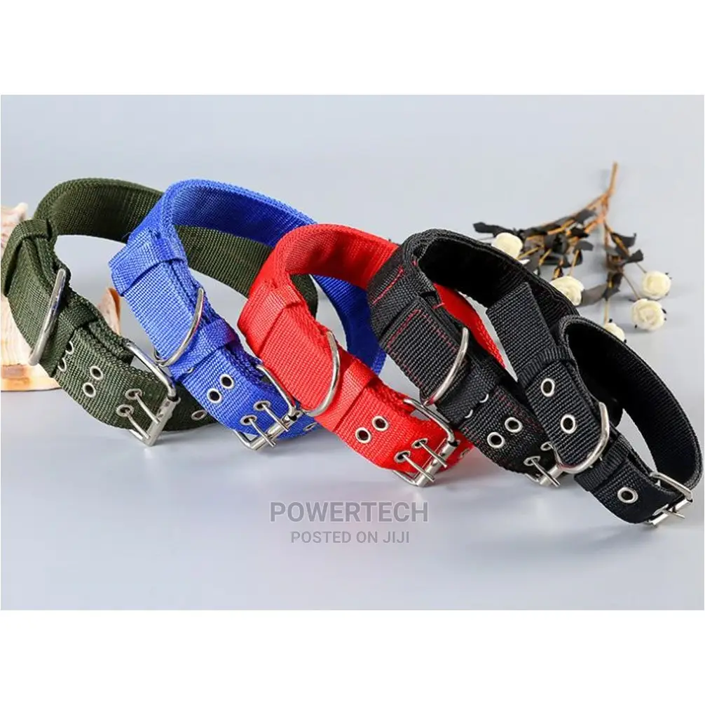 "Dog Collars