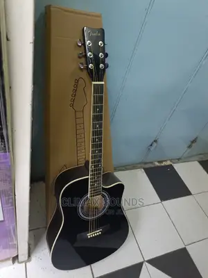 Semi Acoustic Guitar  Fender,