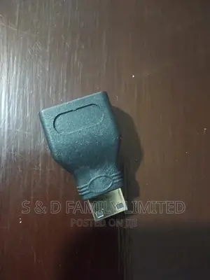 HDMI to Mini HDMI Adapter