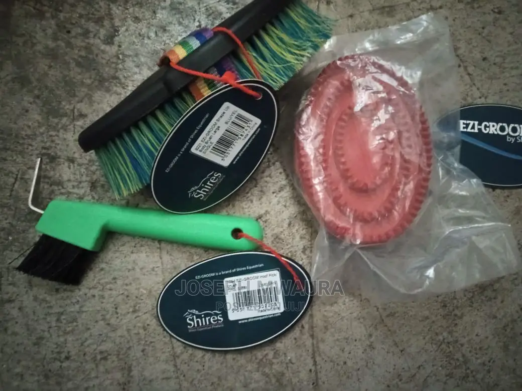 Horses Riding Equipment