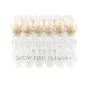 Disposable Transparent Plastic Egg Box 30 Grids Egg