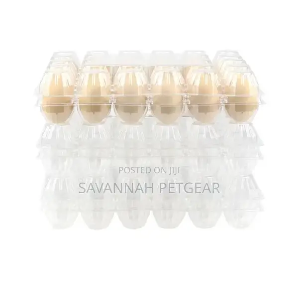 Disposable Transparent Plastic Egg Box 30 Grids Egg