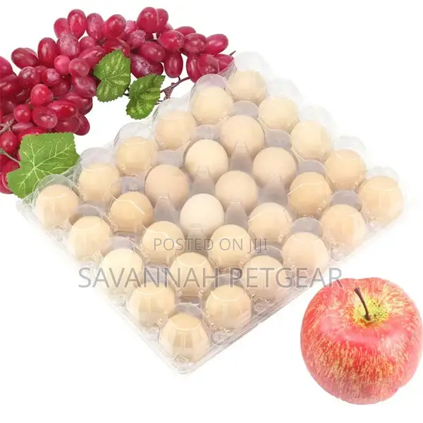 Disposable Transparent Plastic Egg Box 30 Grids Egg