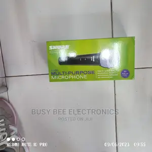 Karaoke Performance Microphone