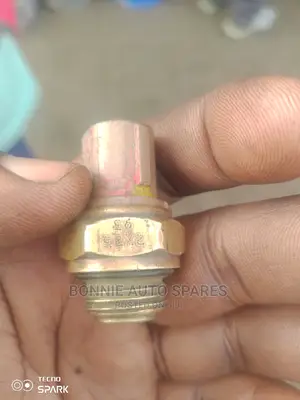 Cold Start Sensor