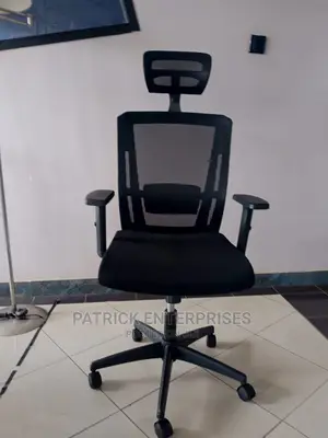 Imported Orthopedic Office Chair