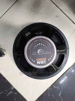 JBN 15 Inch Speaker
