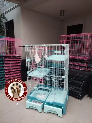 Puppies, Rabbit Crates