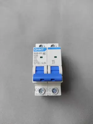 63A Double Pole Chint MCB