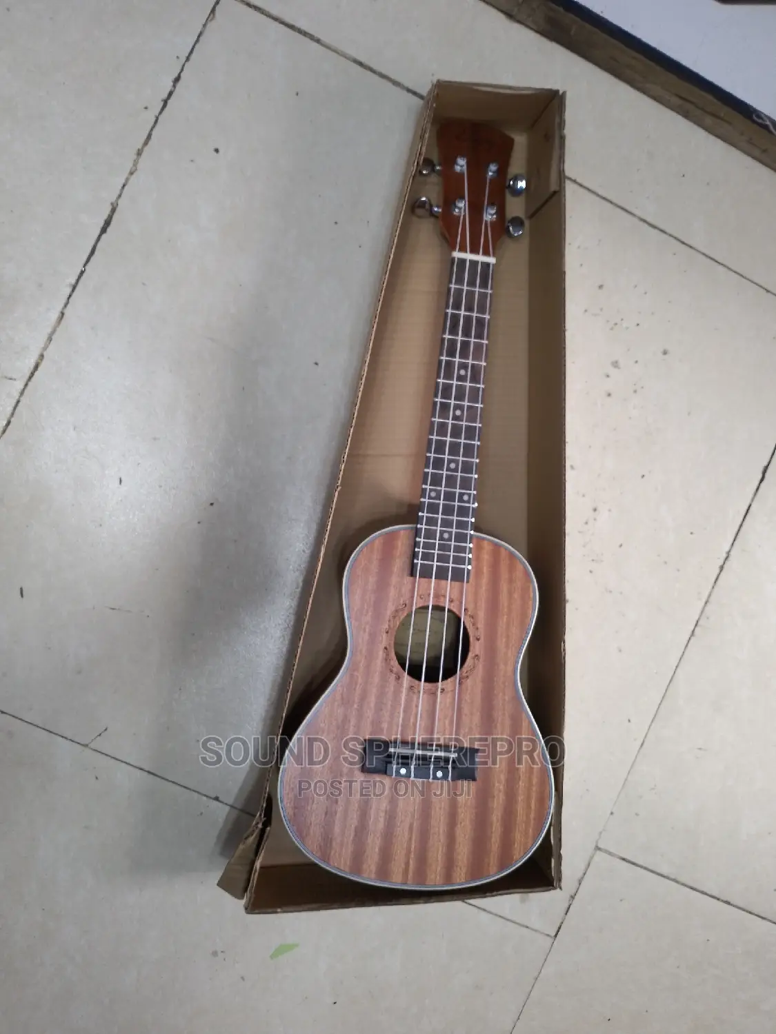 Ukelele Size24