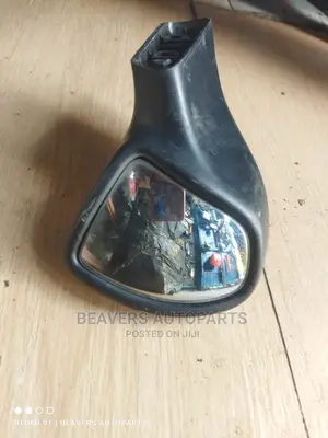 Nissan Dualis Wing / Fender Mirror