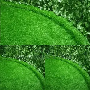 Grass Carpet Grass Carpet Grass Carpet Grass Carpet Grass