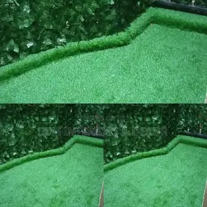 Grass Carpets Grass Carpets Grass Carpets Grass Carpet Grass