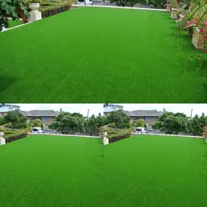 Grass Carpets Grass Carpets Grass Carpets Grass Carpets