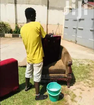 Sofa Vaccuming and General Cleaning