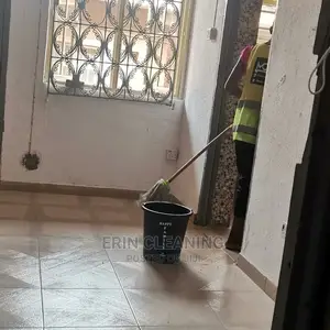 Everyday House Cleaning