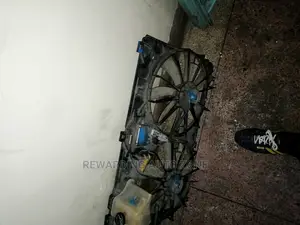 Toyota Crown Royal 2010 Radiator Fun