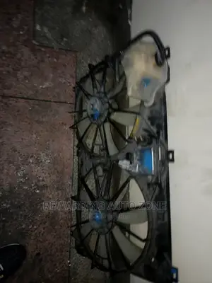 Toyota Crown Royal 2010 Radiator Fun