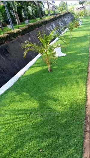 Pemba Grass