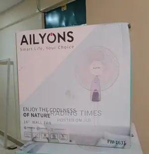 16' Ailyons Wall Fan