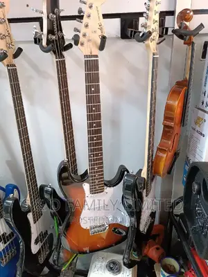 Fender 24 Freet Electric Guitar