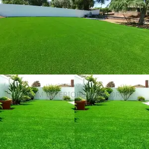 GRASS Carpets Grass Carpets Grass Carpets