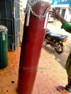50kgs Punching ,Gym Bag