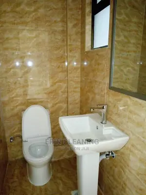 Sink Couch And House Cleaning Services