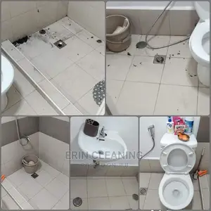 Toilet , Kitchen and Bathroom Cleaning