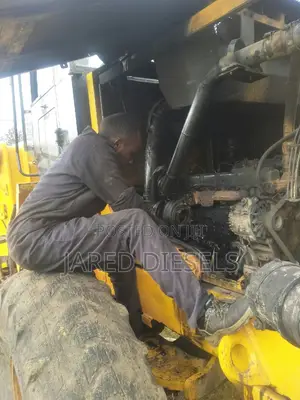 Diesel Generators And Heavy Machinery Mechanic
