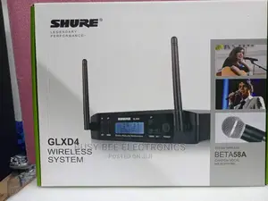 Perfomance Legendary Wireless Microphone
