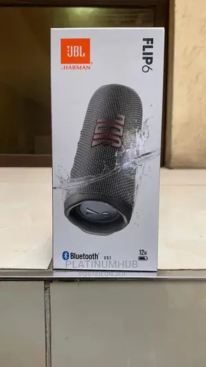 JBL Flip 6 (Grey)