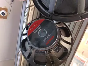 Ashly 15 Inch LP-158H Naked Speaker