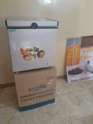 Chest Freezer 109 Icecool Brand