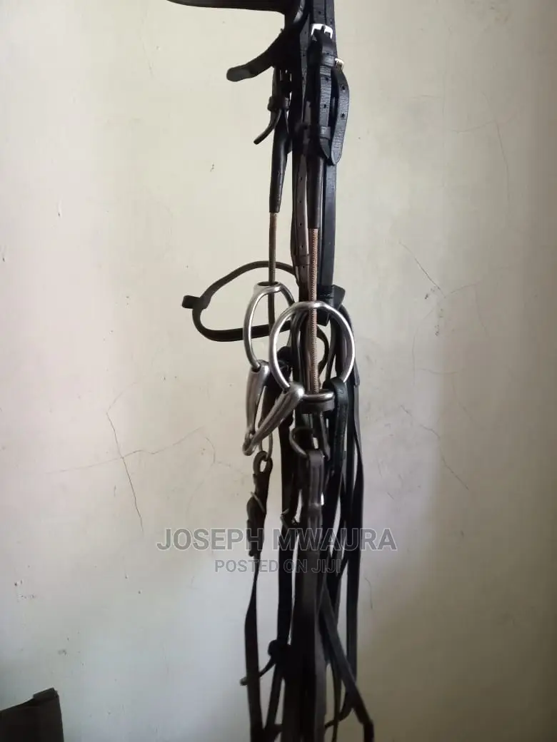 Horses Riding Equipment
