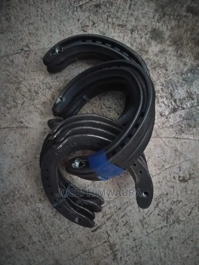 Horses Riding Equipment