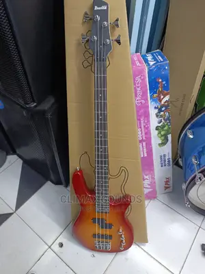 Electric Bass Guitar 4 Stringx