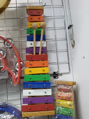 Xylophone Percussion Instrument
