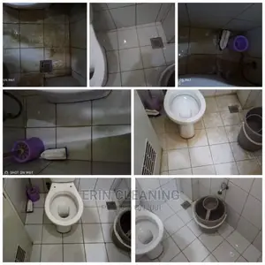 Sink Kitchen Toilet Cleaning