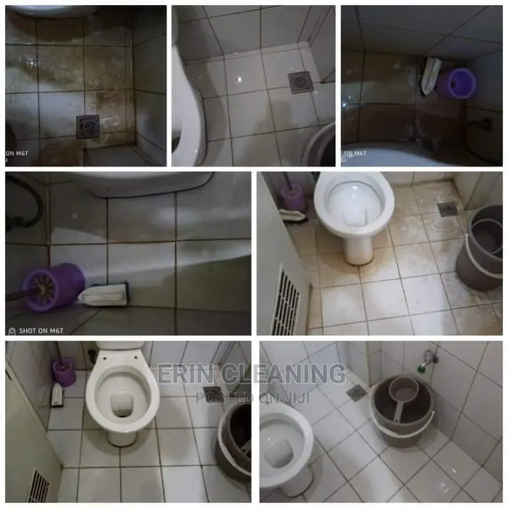 Sink Kitchen Toilet Cleaning