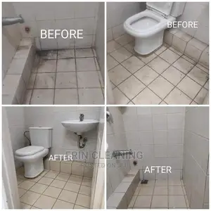 Bathroom and Toilet Cleaning