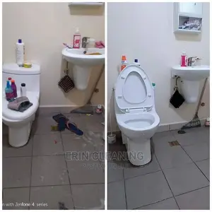 Toilet Disinfection and Sterilization