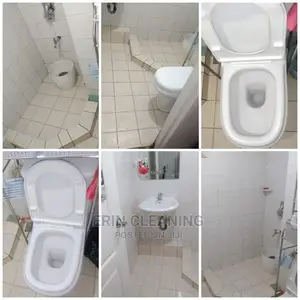 Kitchen Sink Bathroom Bowels and Couch Cleaning