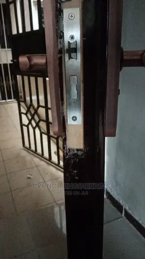 Intelligent Biometric Door Locks