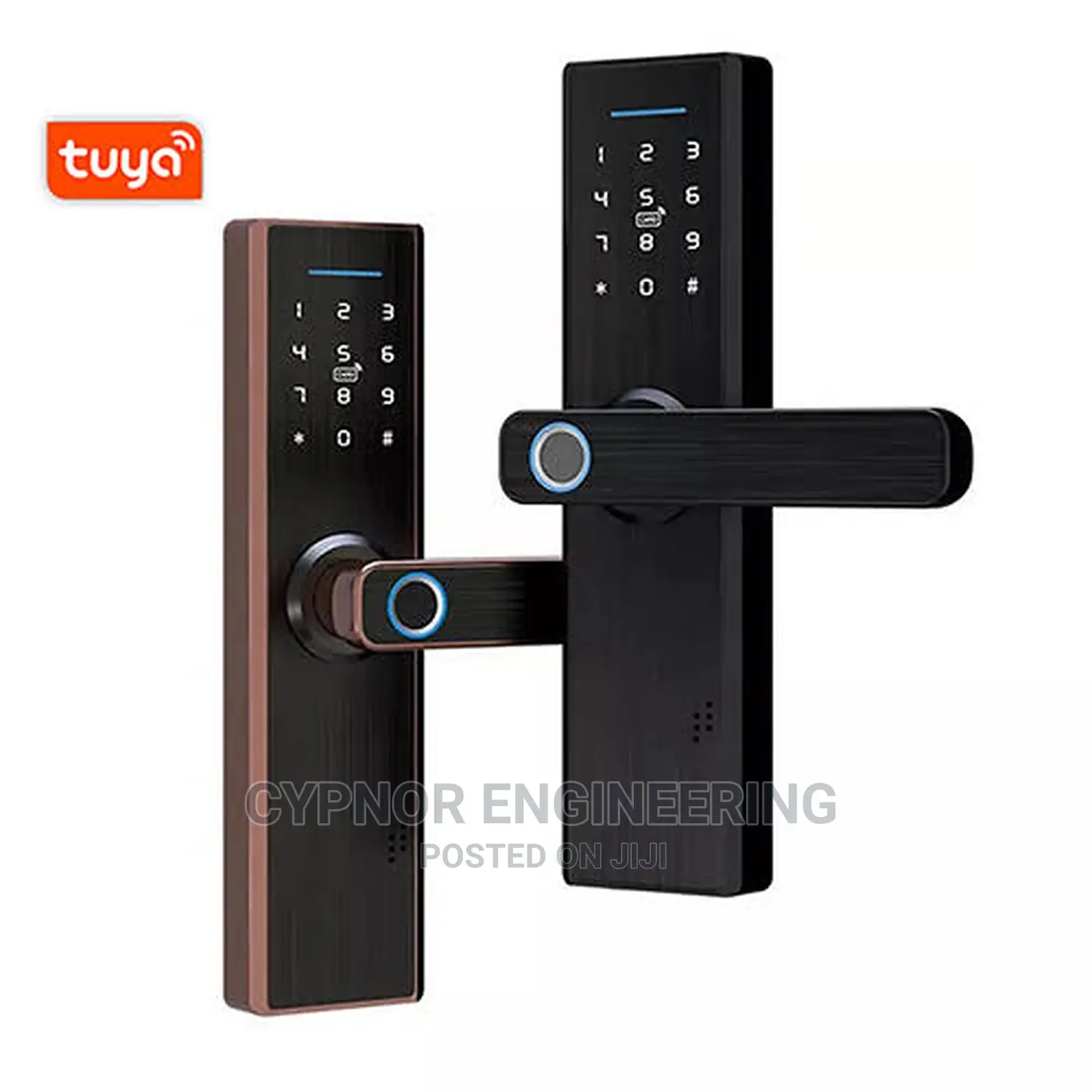 Biometric Smart Lock Tuya
