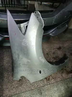 Auris 2010 Wing(Fender).