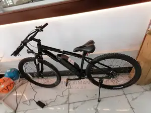 Electric Bicycle and Mountain
